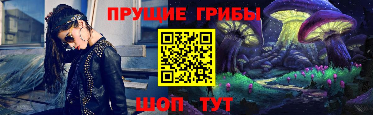 Донской  Галлюциногенные грибы Psilocybine cubensis  Псилоцибиновые грибы мицелий  Вход с VPN 